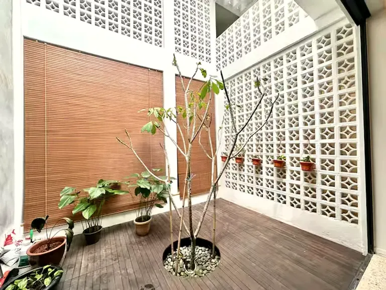The air-well courtyard: white ventilation-block walls in two patterns, timber chick blinds, and a young frangipani growing through a circle cut in the deck.